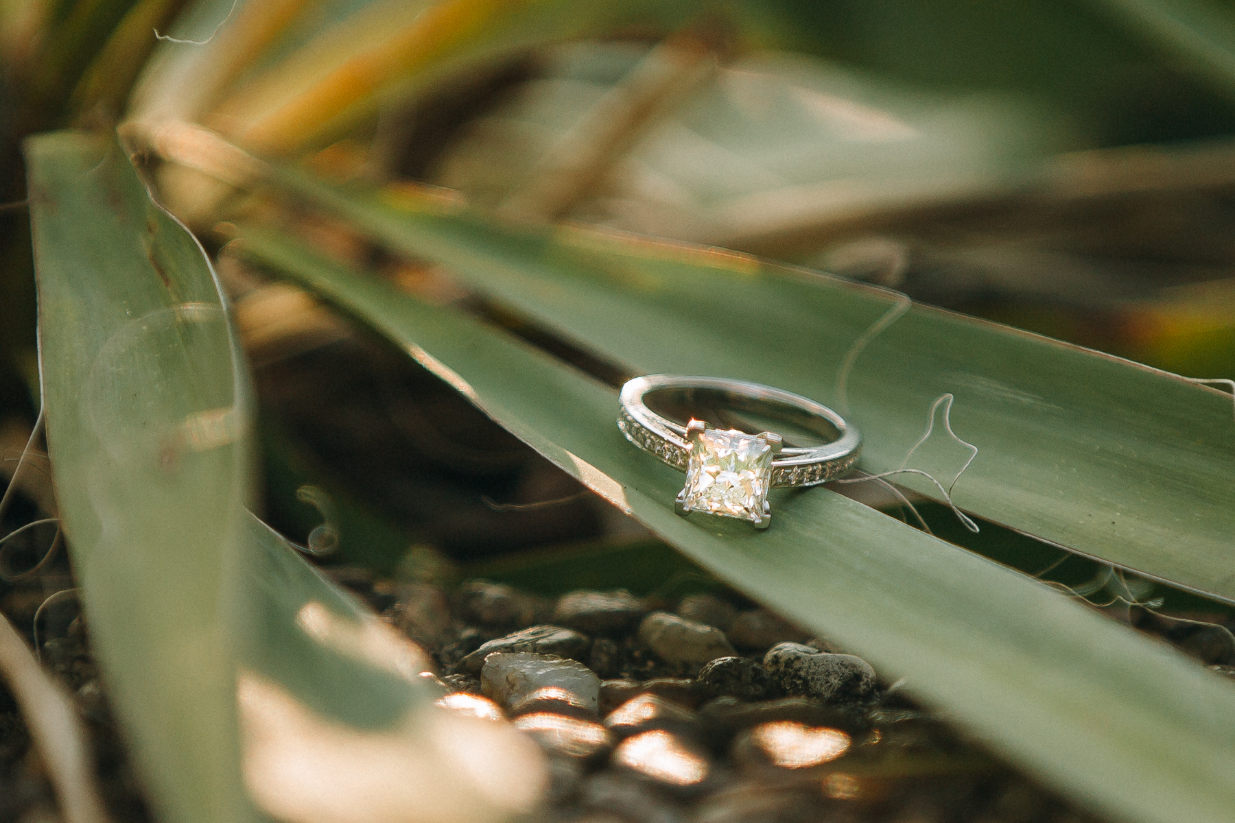 A Scavenger Hunt Proposal | Meridian Hill Park | Washington, DC Engagement | © Carly Arnwine Photography